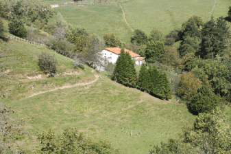 ZUMETA BASERRIA IMG_9493