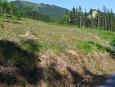 Hegazkin alemaniarra erori zen lekua. Ermu eta Mallabiako mugan. Atzealdean Urko