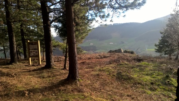 wp_20170225_17_13_27_pro